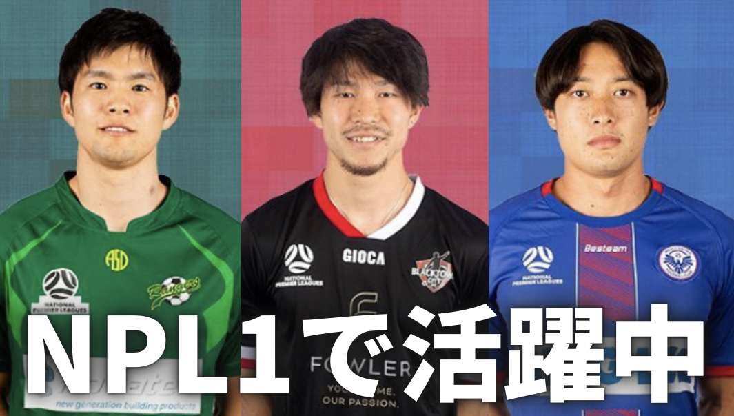 NPL1で活躍する選手たちとは.. | オーストラリア サッカー留学｜セミプロ挑戦